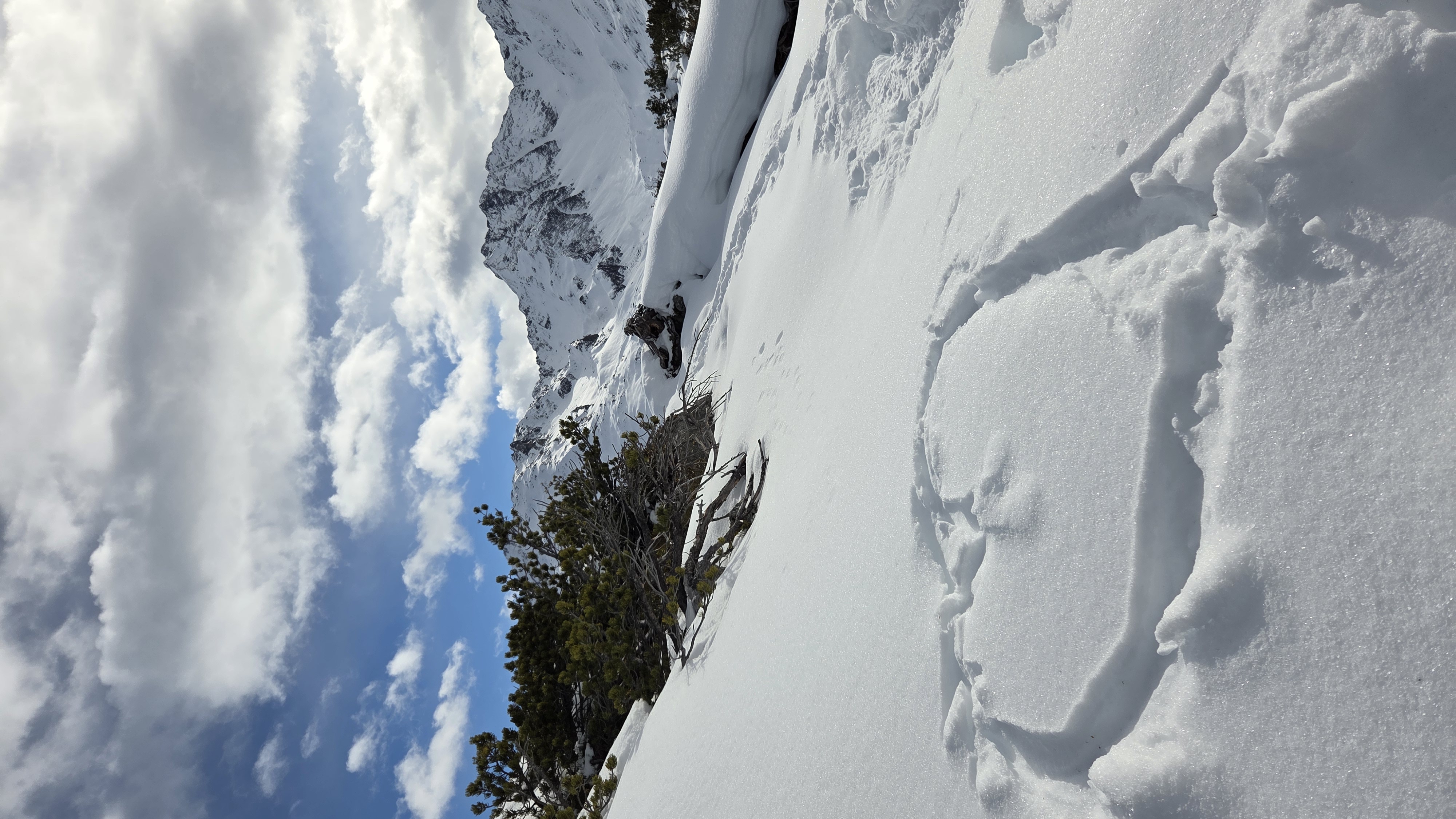 Wintersporttag am Gymnasium: Beste Wetterverhältnisse auf dem Sonnenkopf