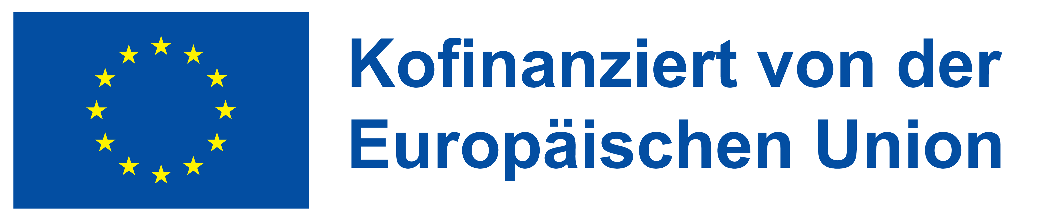 DE_H_Kofinanziert_von_der_Europaeischen_Union_WEB.png