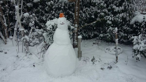 Schneemann Jannis M  tz 2